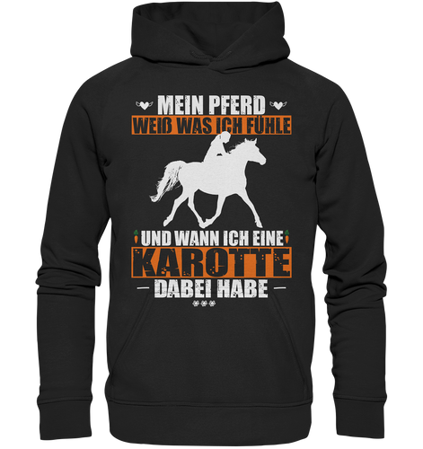 Mein Pferd weiß was ich fühle - Premium Hoodie