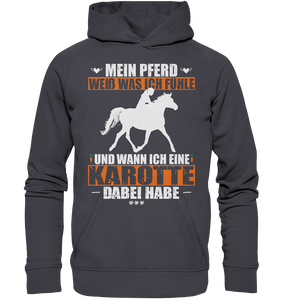 Mein Pferd weiß was ich fühle - Premium Hoodie